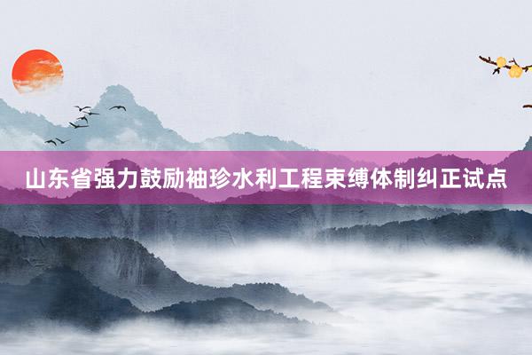 山东省强力鼓励袖珍水利工程束缚体制纠正试点