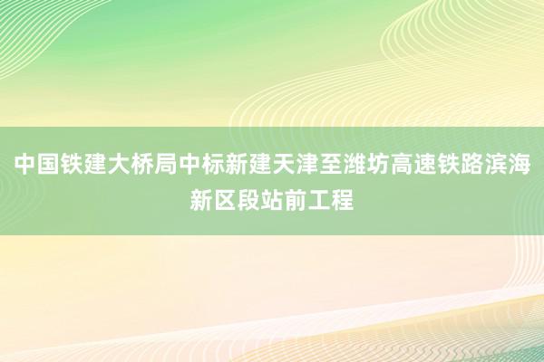 中国铁建大桥局中标新建天津至潍坊高速铁路滨海新区段站前工程